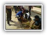 Plantation_Drive_Docters_Day17 (12)