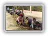 Plantation_Drive_Docters_Day17 (13)