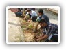 Plantation_Drive_Docters_Day17 (22)