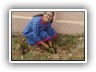 Plantation_Drive_Docters_Day17 (4)