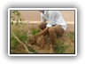 Plantation_Drive_Docters_Day17 (5)