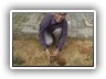 Plantation_Drive_Docters_Day17 (6)