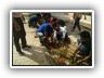 Plantation_Drive_Docters_Day17 (8)