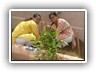 Plantation_Drive_Docters_Day17 (9)